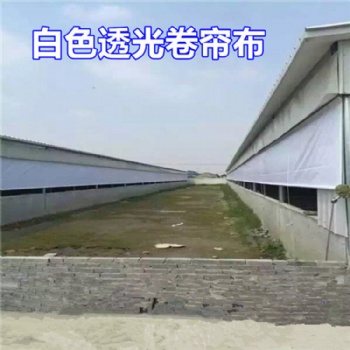 山东泰安猪舍卷帘帆布 轻便PVC帆布卷帘 透光养殖卷帘布