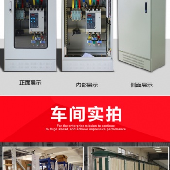 动力配电柜柜/交流低压控制柜/消防风机控制箱/工地二级配电柜