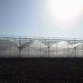 中国河北沧州温室大棚配件园林花卉
