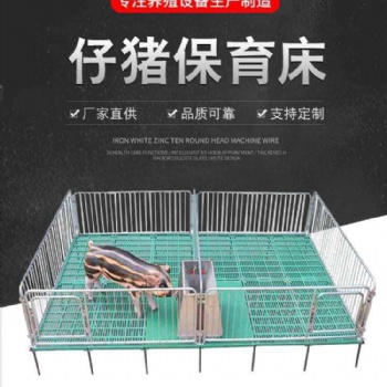 猪场用保育床 仔猪保育床 复合板保育床 复合保育床 规格多样