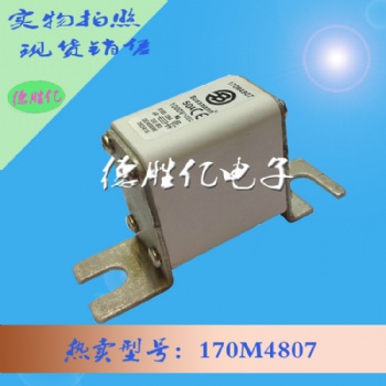 巴斯曼熔断器 170M4807 全新出售供应