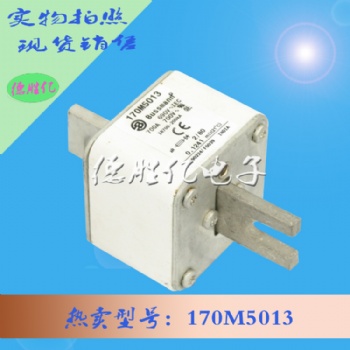 巴斯曼熔断器 170M5013 全新出售供应