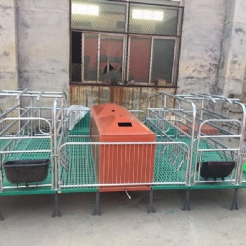 全自动养殖料塔镀锌料塔养猪用自动喂料料塔定制供应