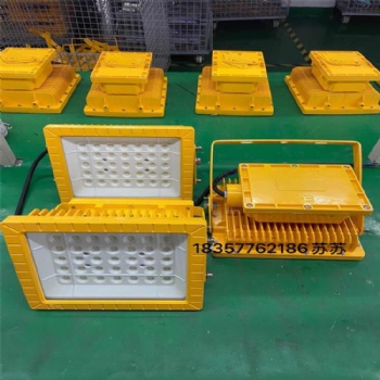 电力冶金加油站LED防爆投光灯路灯100W120W