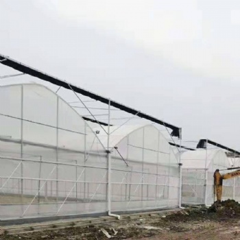 连栋温室 连栋温室大棚厂家 薄膜智能连栋温室大棚