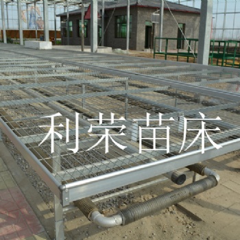 河北利荣苗床厂家现货苗床供应