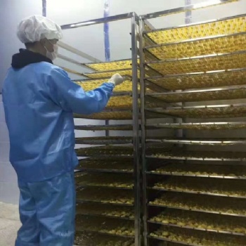 西部大旗金丝皇菊烘干机