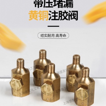 防爆型带压堵漏注胶阀M12注射阀考克注胶枪带压堵漏厂家