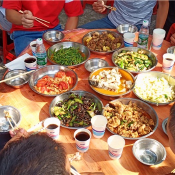 聚会郊游公司聚餐户外活动东莞周边就去松山湖花海生态园