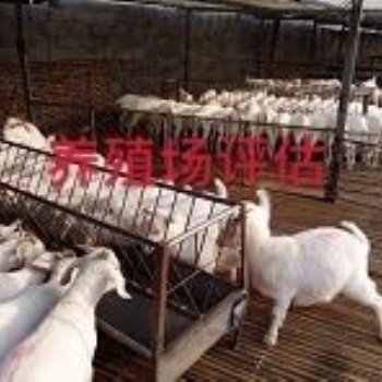 四川信鸽养殖损失评估,蝗虫养殖场评估,肉鸡养殖场拆迁评估