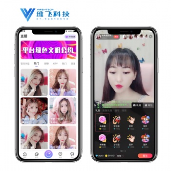 手机APP定制开发，专业团队，实体公司