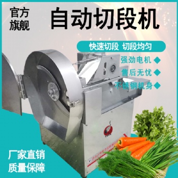 辣椒切段机切电动不锈钢多种类蔬菜茎菜韭菜茴香包子用切菜机商用
