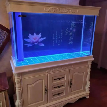保定徐水鑫德龙水族私人订制底滤生态鱼缸