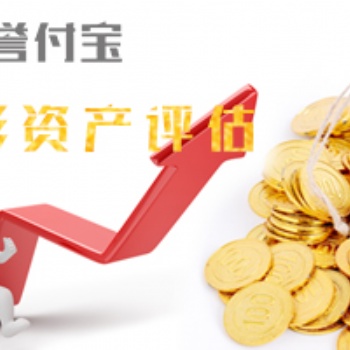专业提供无形资产评估,官方认可资产评估公司大品牌!