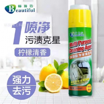 多功能泡沫清洁剂家用清洁去污多功能泡沫清洁剂