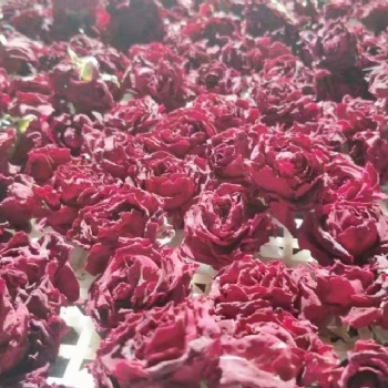 西部大旗玫瑰花烘干机