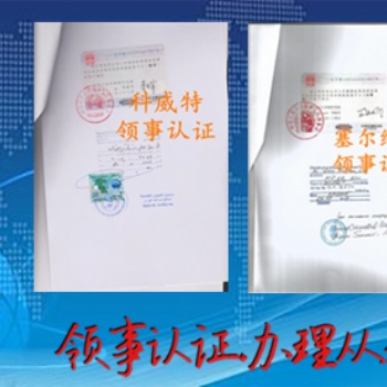 西班牙资产负债表使馆盖章