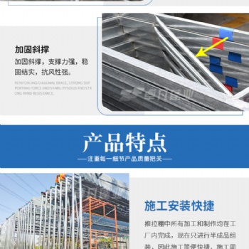 大型仓库蓬 卓凡蓬业
