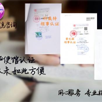 国外客人需要毛里求斯分销协议大使馆认证·国外客人需要毛里求斯大使馆分销协议认证