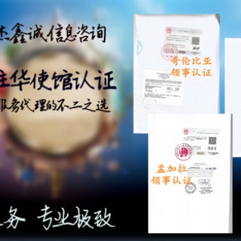 古巴大使馆资产负债表盖章