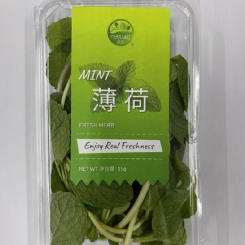 薄荷叶嫩头新鲜可食用泡水调酒香料西餐摆盘装饰批发销售餐饮门店西餐厅酒店供应超市直供全国物流冷链保鲜