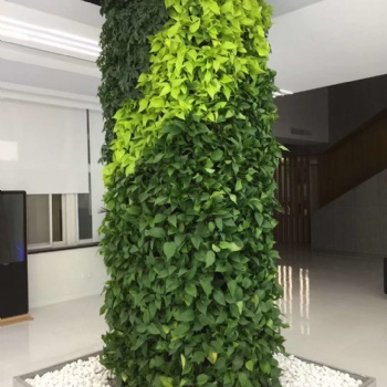 河源室外绿植墙装饰设计施工
