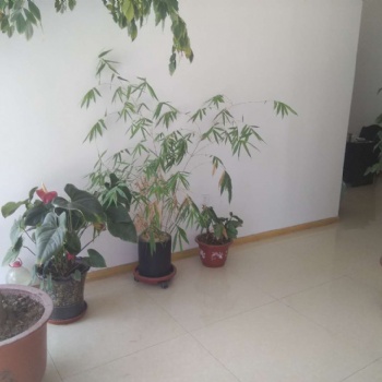 唐山劳动律师，劳动争议纠纷，律师法律咨询房产合同离婚继承房产抚养权起诉书协议代书北京律所