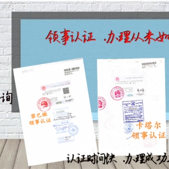 阿根廷使馆认证债务证书|注册证书