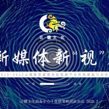 企业新媒体账号ip全案运营