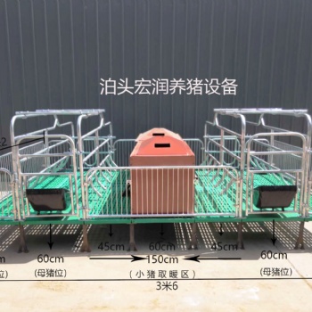 河北养猪设备 批发价格 双体猪产床