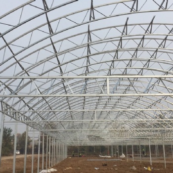 连栋型120*2.5厚度双拱梁双模大棚骨架每栋的价格