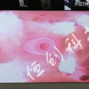 HC-SG-FL看火工业电视