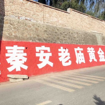 郑州刷墙写广告点燃你的消费力郑州家居墙体广告