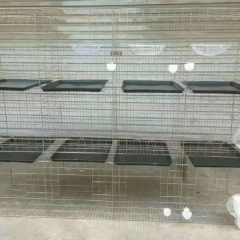 鸽笼厂家 现货销售 鸽子笼批发 连体鸽笼定做