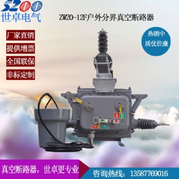 ZW20智能看门狗 智能分界开关 厂家**