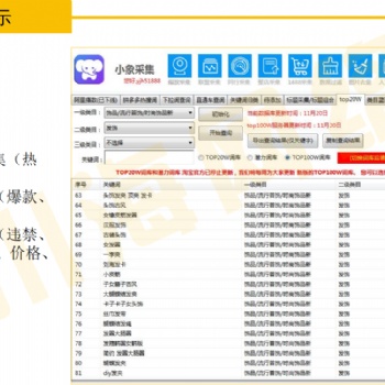 拼多多无货源店群采集软件,精细化运营一对一指导软件贴牌