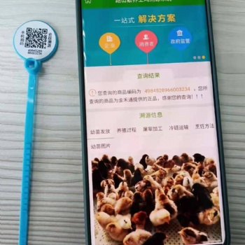 屠宰溯源二维码脚环 生鲜食品溯源标识