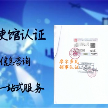马来西亚使馆认证董事名单<公司损益表