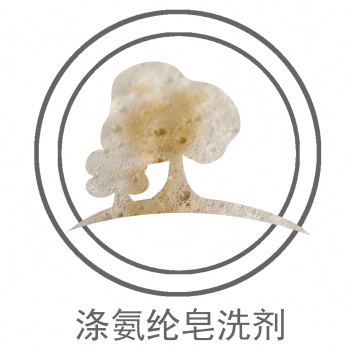 涤氨纶还原皂洗剂HOLPOSON? Reduce Clean