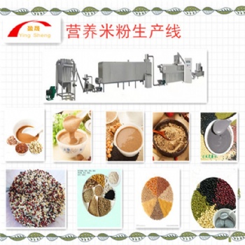 山东盈晟营养米粉生产线
