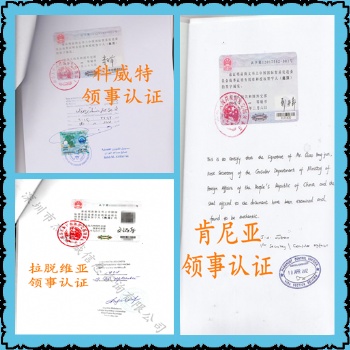 尼加拉瓜使馆董事名单认证办理流程<那里可以办理银行资信尼加拉瓜使馆认证