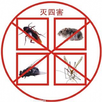 福州家庭灭鼠灭白蚁灭蟑螂