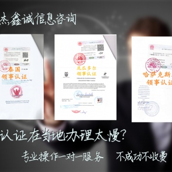 在职证明公证阿尔及利亚领事馆双认证