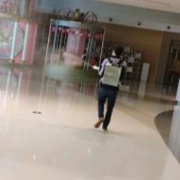 福州除四害公司专业灭老鼠灭蟑螂灭白蚁