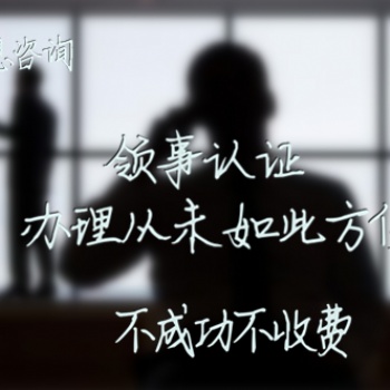 巴基斯坦商标注册证/财务审计/商标注册证书大使馆认证