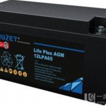 路盛RUZET蓄电池12LPG22直流屏电池