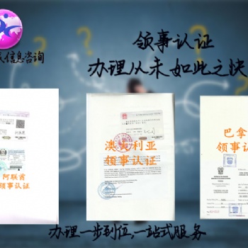 南非使馆加签企业报关单