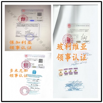 巴基斯坦大使馆无罪公证加签