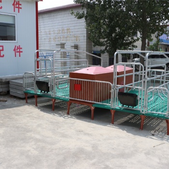 热镀锌 养猪设备双体保育床母猪产保两用 母猪产床