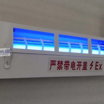 YMD-G防爆灭蚊灯 化工制药厂灭蚊防爆LED灯
